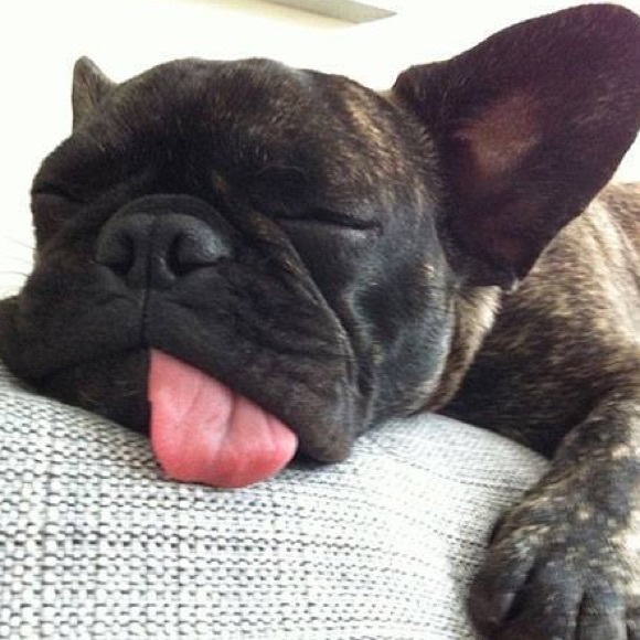 Meet your Posher, Boss G - Picture 1 of 1